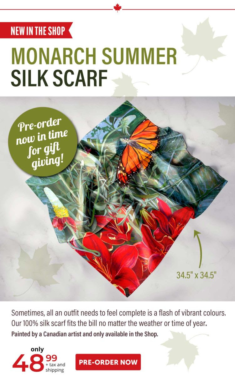 Monarch Summer Silk Scarf