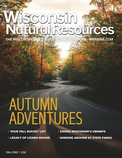 Fall cover magazine thumbnail showing road winding through colorful fall trees