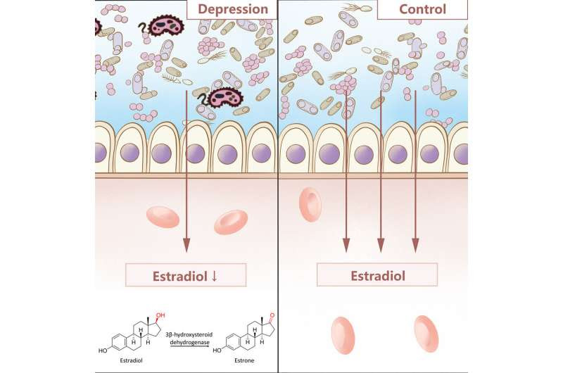 Researchers find a source of depression linked to a single enzyme