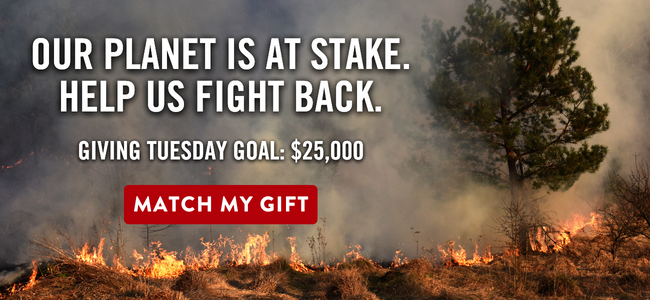 Our planet is at stake. Help us fight back. Giving Tuesday Goal: $25,000. [[MATCH MY GIFT]]