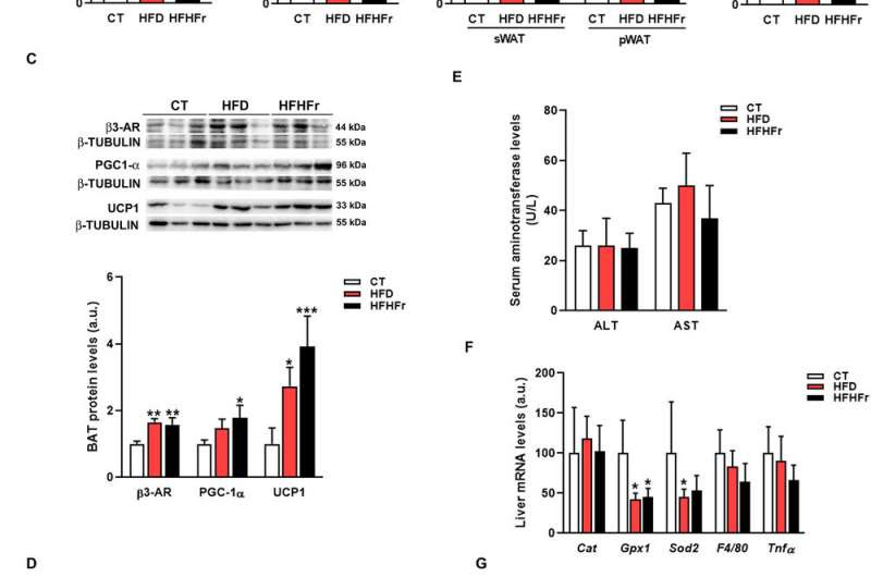 A new study relates liquid fructose intake to fatty liver disease