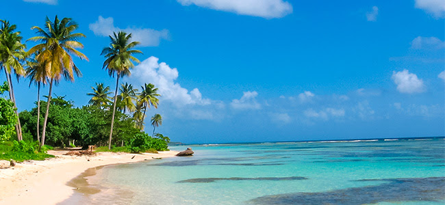 Antilles-visual-Guadeloupe 