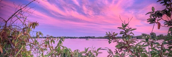 Whisps of lilac and periwinkle waft through the sky over a dreamy lake, framed by summertime foliage.