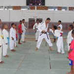 judo5
