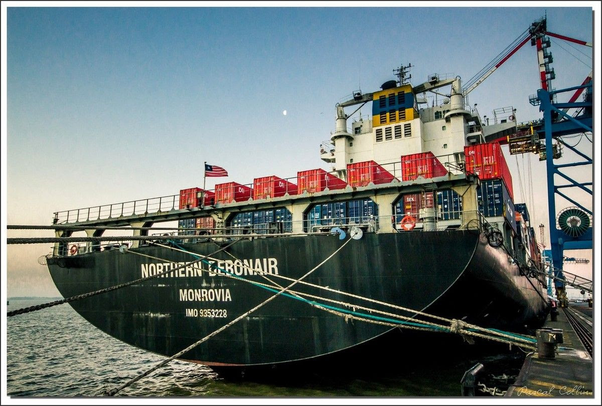 Infos - les Ports, et Infrastuctures maritimes Ob_461257_northern-debonair-t8989