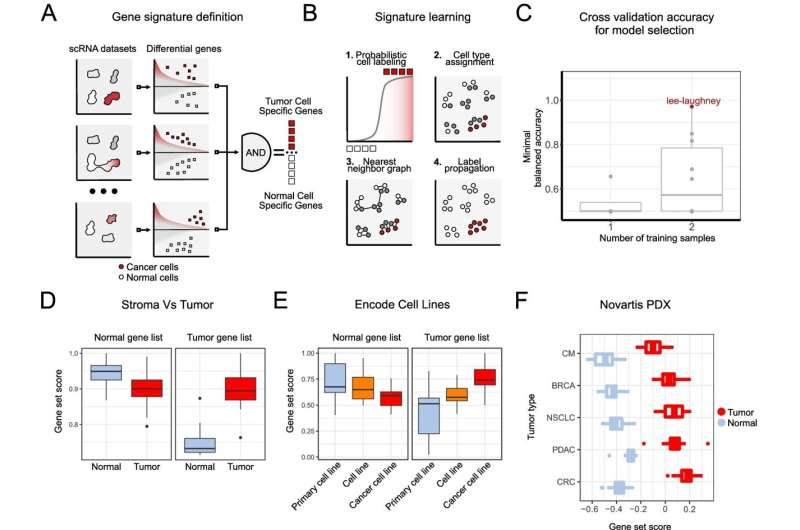 AI identifies cancer cells