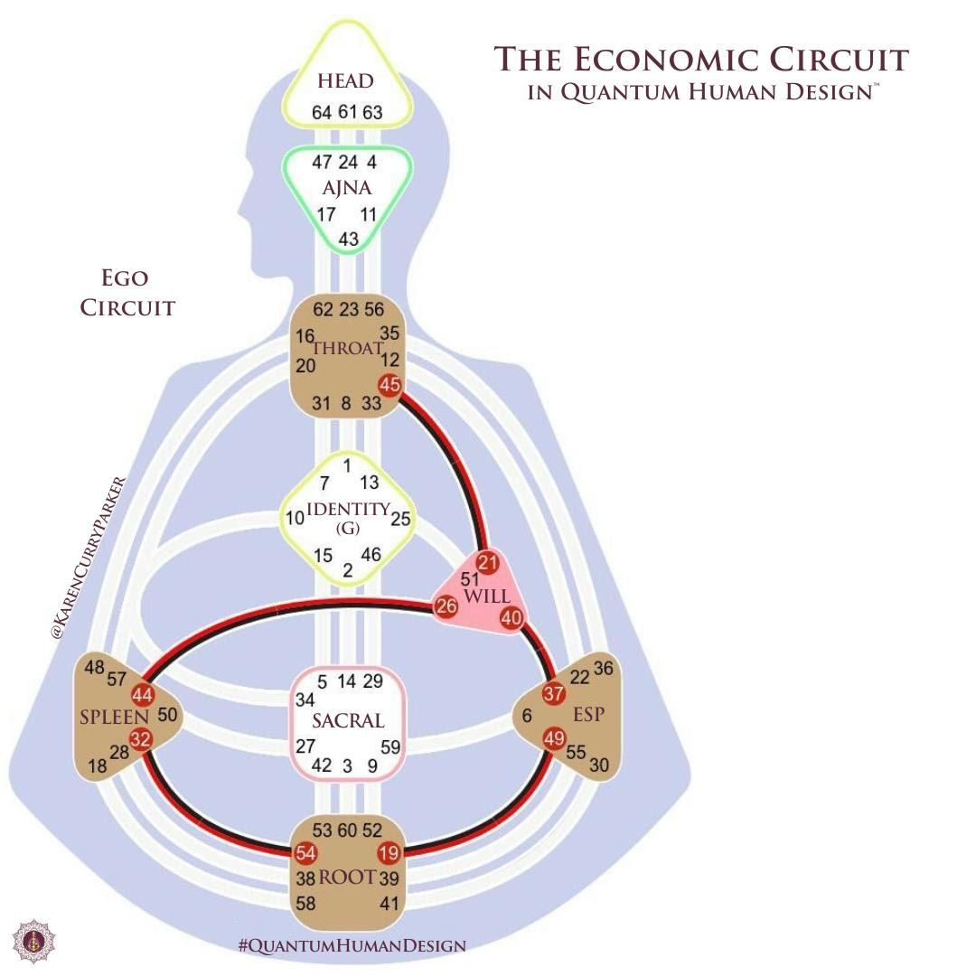 an image of the economic circuit in human design in a blog post about money