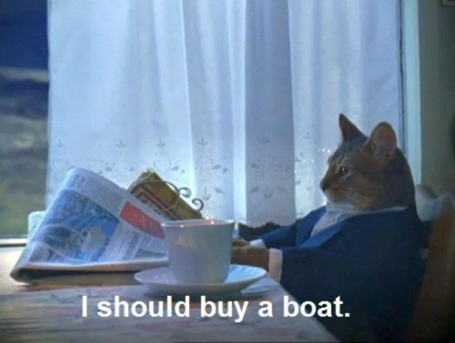 The Cutest, Coolest and Craziest Cat Photos Ever Taken