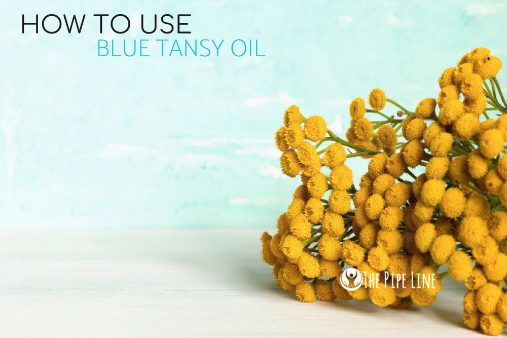 HERE’S HOW TO USE BLUE TANSY E...
