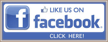 Facebook Like2