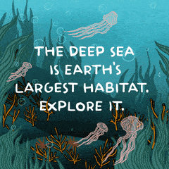 The deep sea is earth's largest habitat: Explore it, don't exploit it.