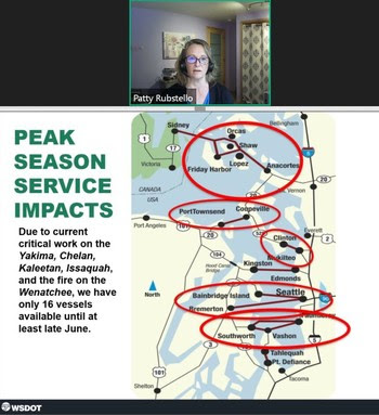 Screenshot of Patty Rubstello presenting during webinar