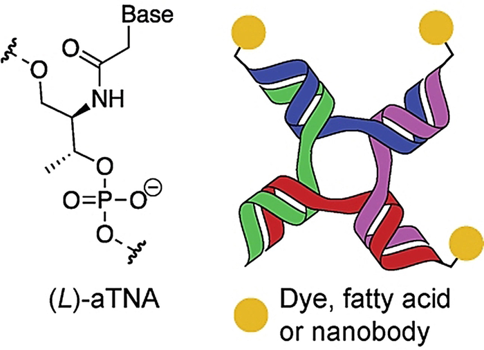 Improved nanostructures for efficient medicine