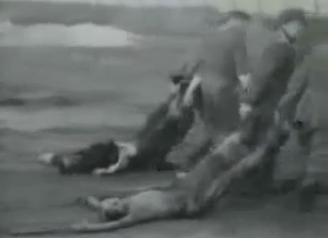 Dead                             bodies torn by SS men on the way to the mass                             grave 01, the clothes are NO striped                             uniforms of detainees in German ccs, and                             there are NO tattooed numbers, and there are                             NO remnants of earth on the bodies (23min.                             14sec.)