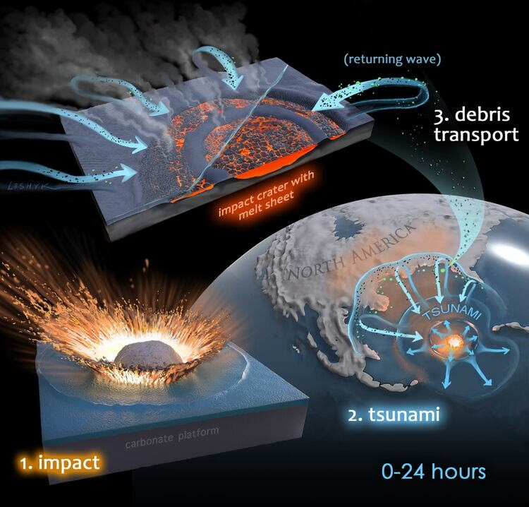 Una ilustración que representa una teoría sobre una serie de sucesos que ocurrieron debido al impacto de un asteroide en la Tierra que extinguió casi el 75 por ciento de todas las especies hace unos 66 millones de años. (Victor O. Leshyk/GEOLOGY/GSA vía The New York Times)