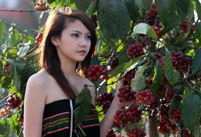 Tư liệu ảnh quý về Tây nguyên ngày xưa