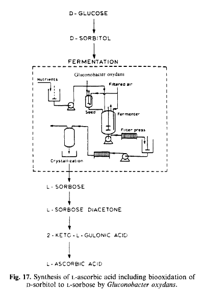 Nutrition Certification Ascorbic acid production All About Where Vitamin Supplements Come From