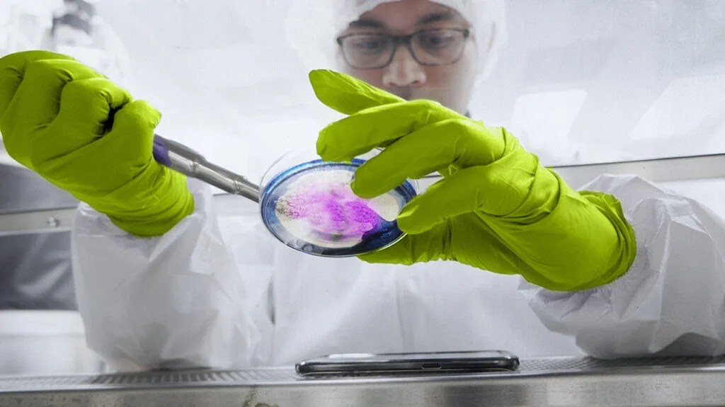 A scientist or lab technician wearing green gloves and a white lab coat holds a petri dish