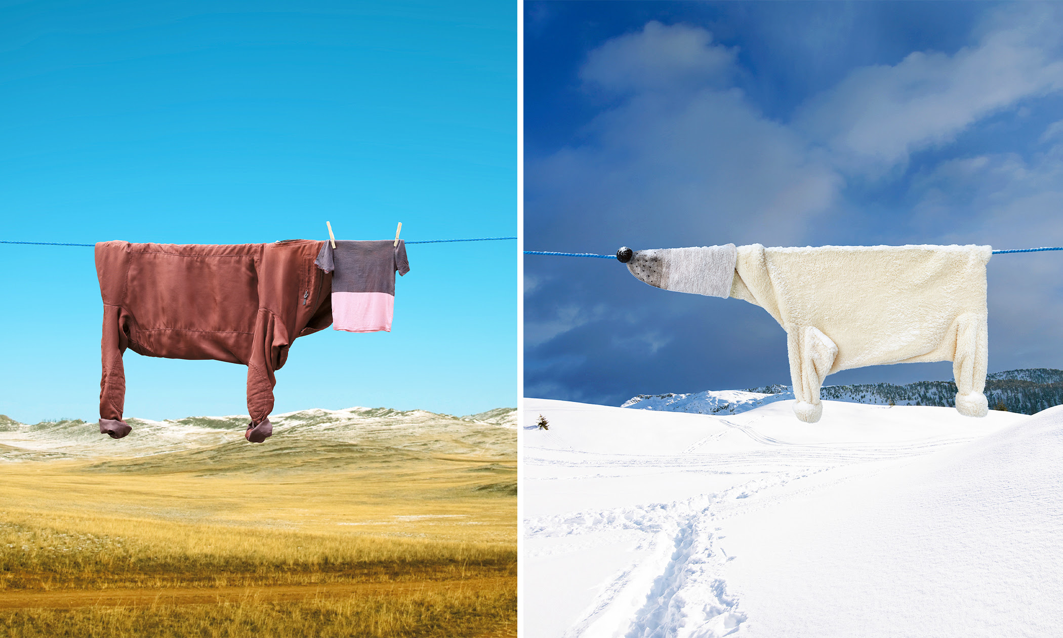 Photos: Artist Transforms Hanging Laundry and Everyday Items Into Surreal Characters