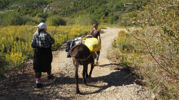 Niko's grandmother with a donkey