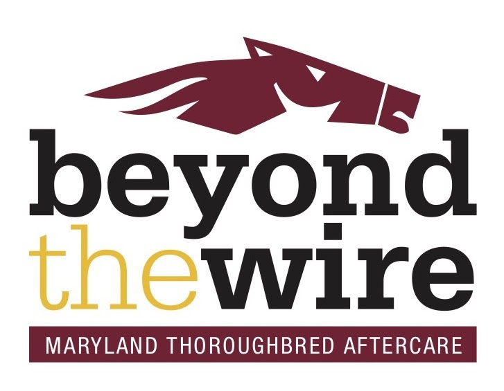 Beyond The Wire Logo - FINAL