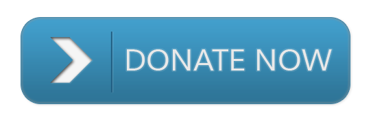 blue_donate_now.png