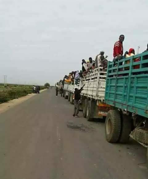 Somali-Oromia Border Conflict