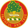 005 Field Artillery Regiment DUI.png