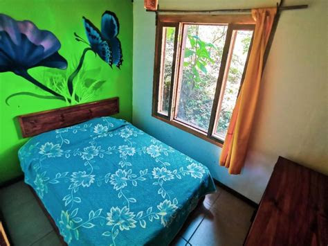 Eco-friendly Studio surrounded by nature