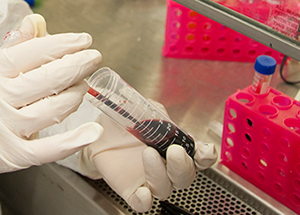 Gloved hands working with blood samples in lab (FDA: M. Ermarth)