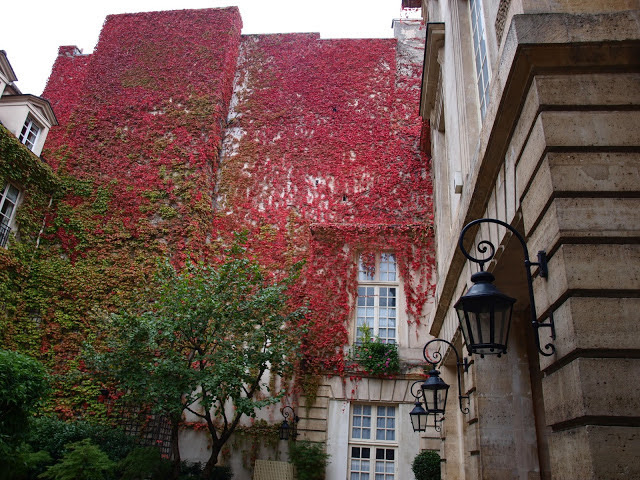 Red-ivy-vines-on-Paris-hotel-by-Hello-Lovely-Studio