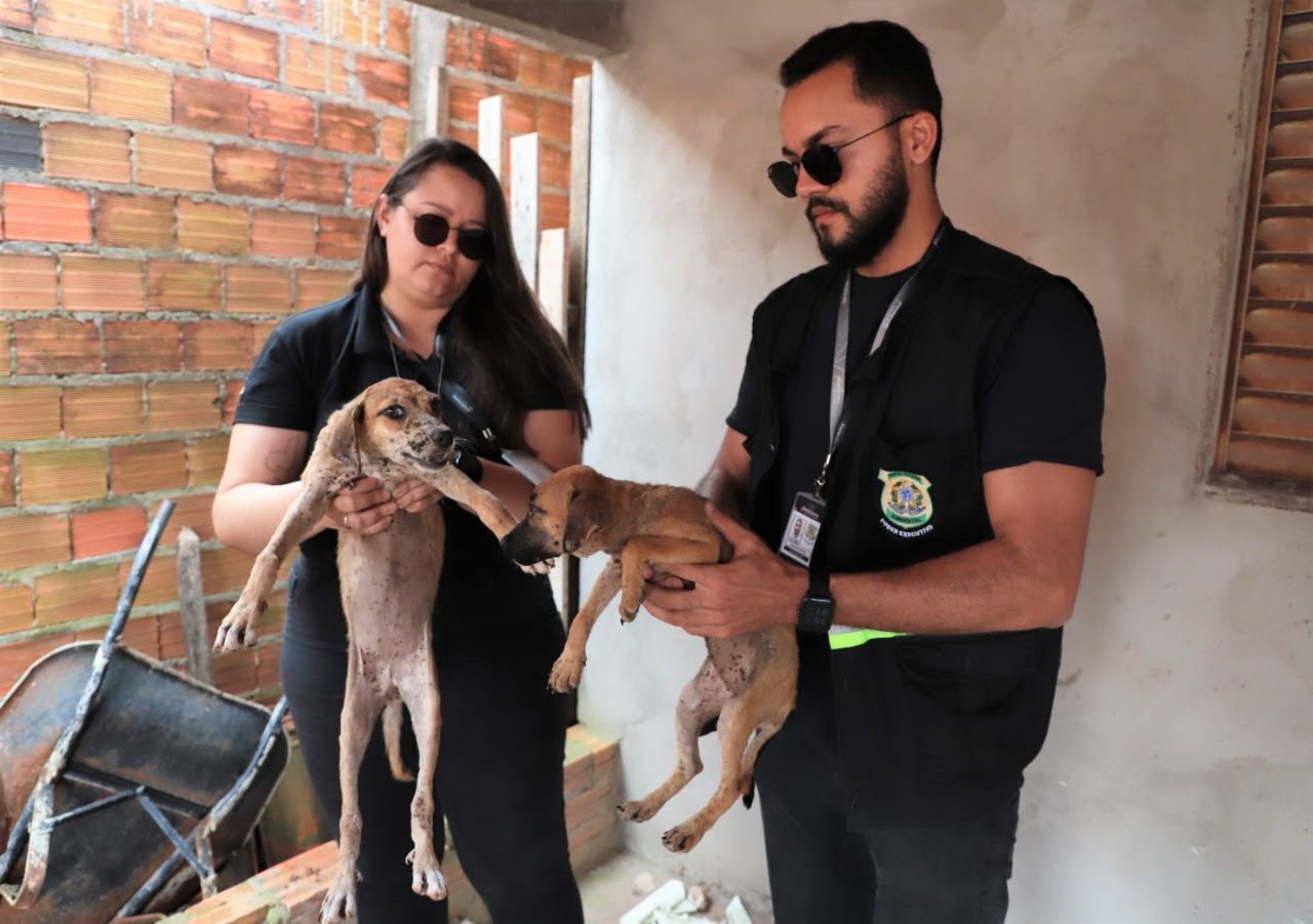 Fiscais do Meio Ambiente e Saúde com apoio da Polícia Civil resgataram dois cães filhotes que estavam abandonados em uma casa