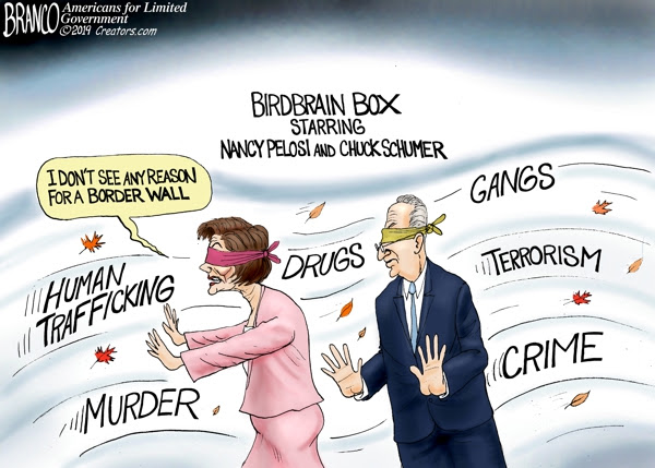 Pelosi and Schumer Blinded by Politics