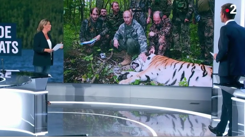 Quand France 2 accuse à tort Vladimir Poutine de chasser le tigre (VIDEO)