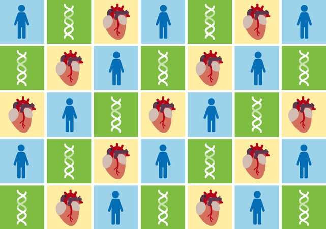 More diverse datasets lead to better genetic risk prediction for heart disease