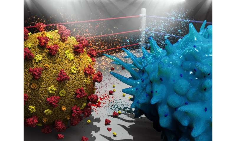 SARS-CoV-2 mutations can complicate immune surveillance of human T-killer cells