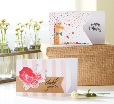CTMH Cut Above™ Dapper Giraffe and Beautiful Blossoms Card Kits
