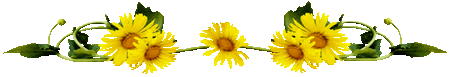 I1TObSv5wnd50HLaLDqZITQZMt0cL4ZD7AQm5PvnE1cN4TRYotqRXugRvrPPYKqq.gif
