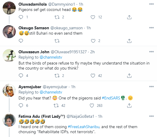 Nigerians react as the white pigeons released by President Buhari at Armed Forces Remembrance Day celebration refused to fly (video)