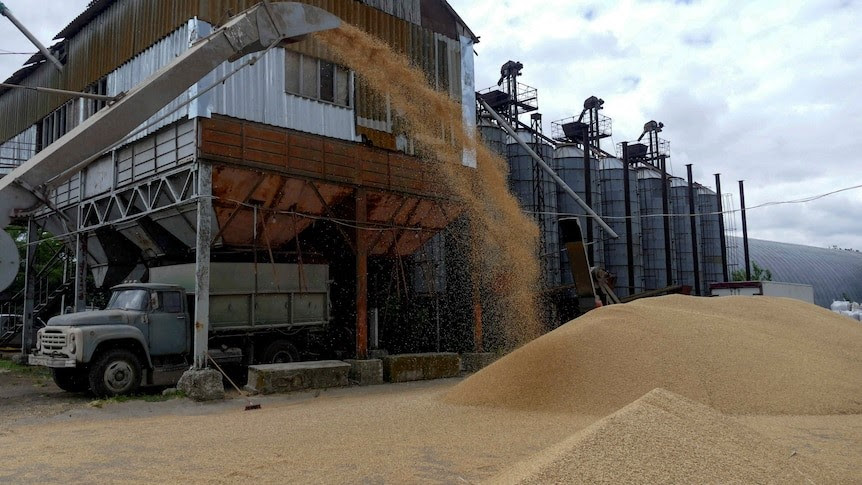 Russia and Ukraine's deal to permit grain exports may show a path to the end of the war.