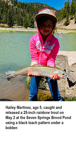 hailey