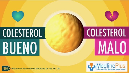 imagen del video de Medlineplus sobre colesterol