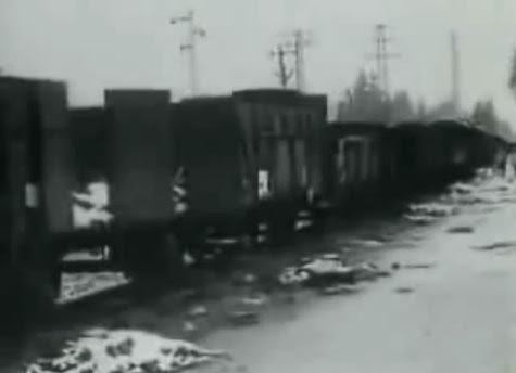 There was                 this train with detainees allegedly at the cc Dachau in                 February 1945 about (36min. 20sec.)