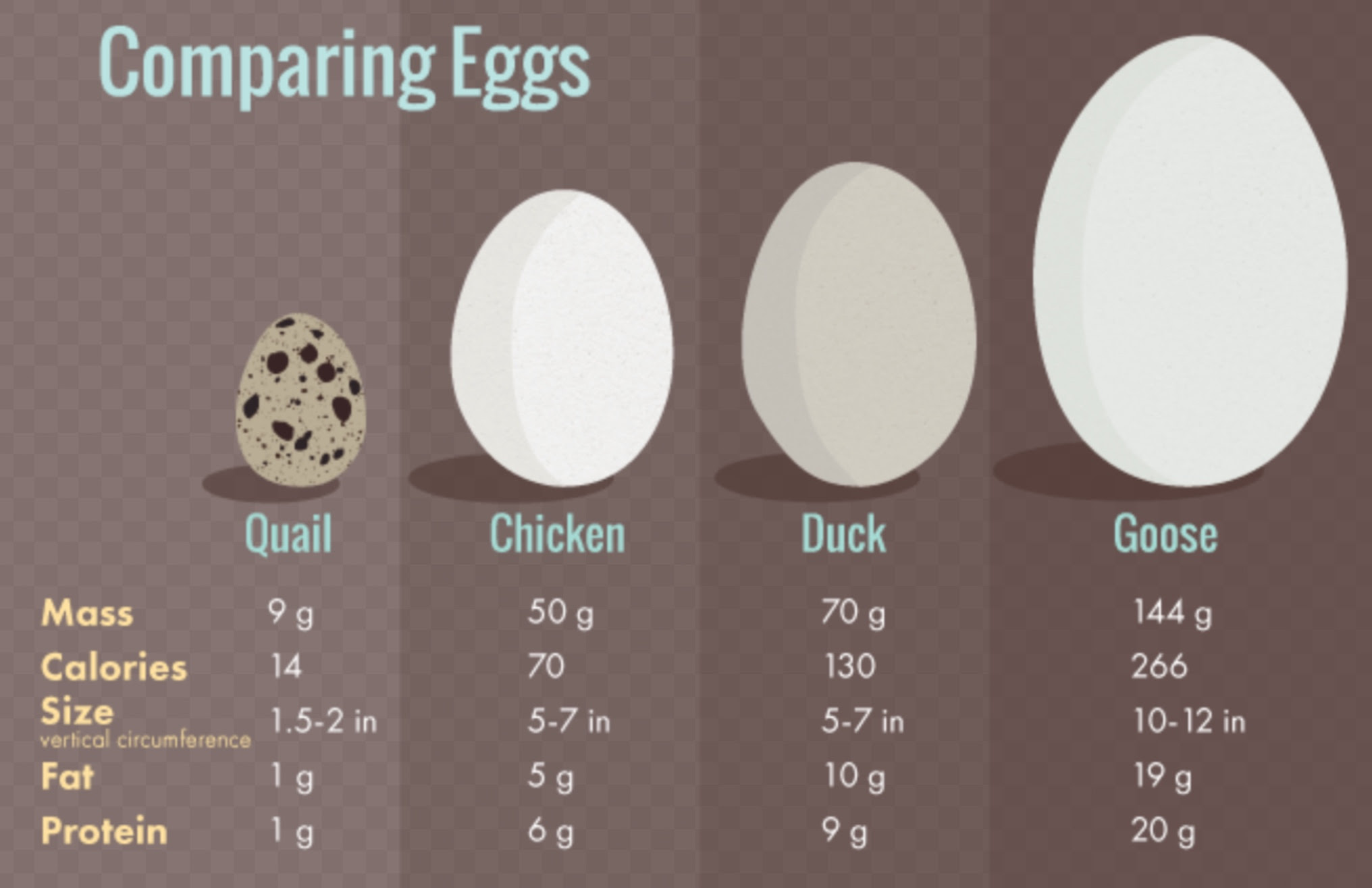 С0 с1 с2 на яйцах. Диаметр куриного яйца. Диаметр куриного яйца с1. Размер гусиного яйца. Размер перепелиного яйца.