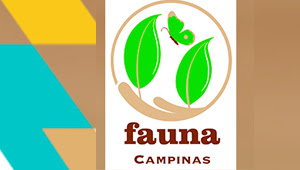 Fauna Campinas