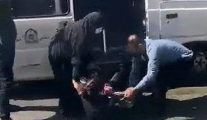 Iran: Morality police use dog-catching pole to haul unveiled woman into van