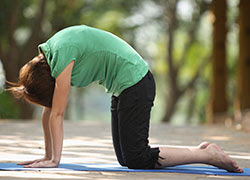 Marjariasana