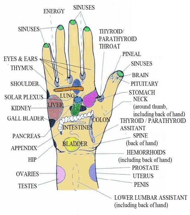 Acupressure points present on the palm. [5]