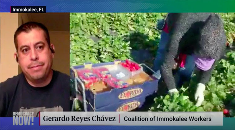 We talked to Gerardo Reyes Chávez, a farmworker leader with the Coalition of Immokalee Workers in Florida, who described the crowded, unsanitary conditions farmworkers are facing amidst the pandemic.