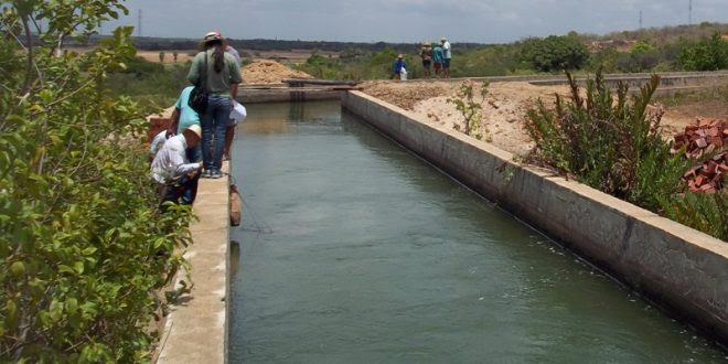 Canal é utilizado para irrigação no Vale do Açu